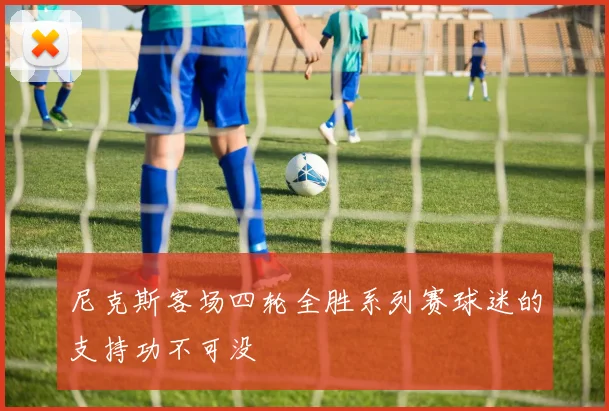 尼克斯客场四轮全胜系列赛球迷的支持功不可没