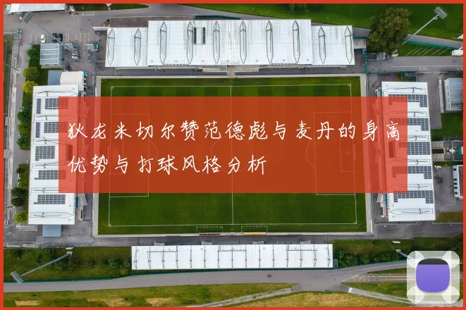 狄龙米切尔赞范德彪与麦丹的身高优势与打球风格分析